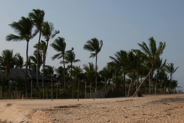Ce qu'il faut chercher lors d'une visite d'appartement en ville